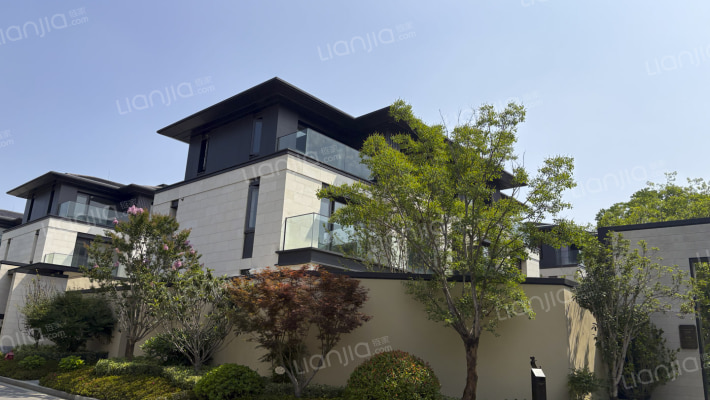 金基九月森林外景图