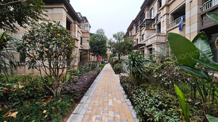 金茂墅瑞宸外景图