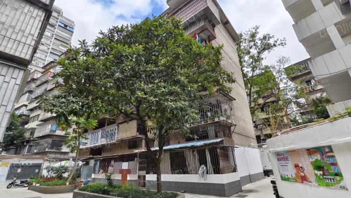 城直街3号外景图