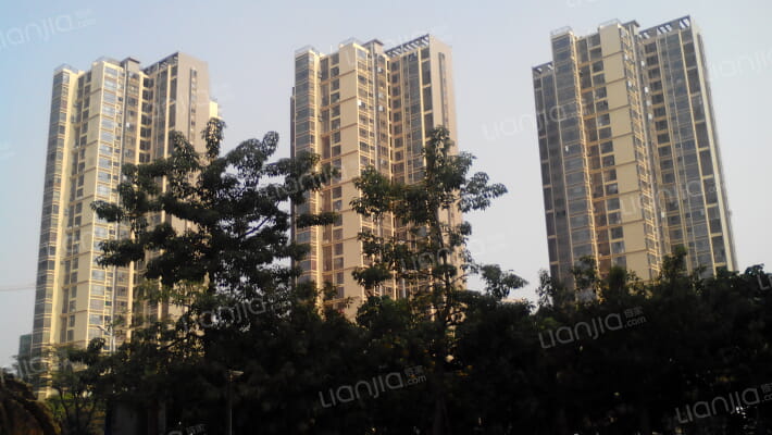 凤凰花苑外景图