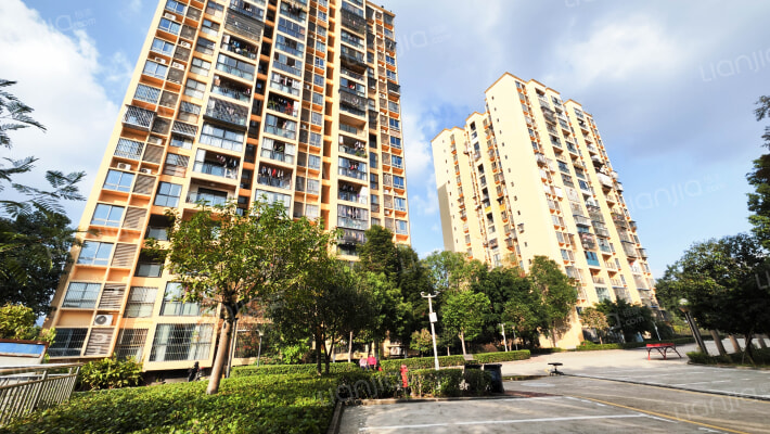 巨豪青春里外景图