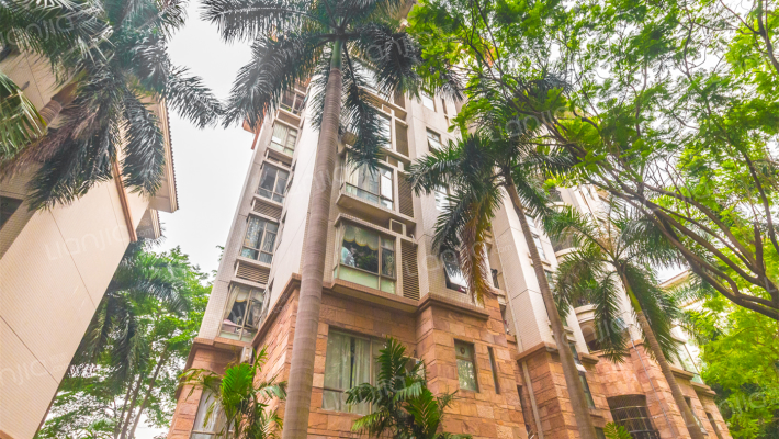 阳光美加外景图