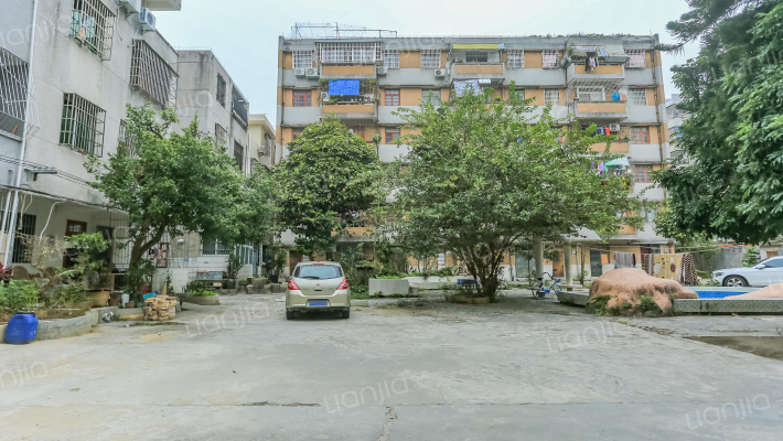 交通局宿舍外景图