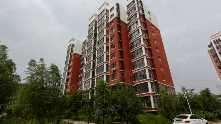 天河桐盛外景图