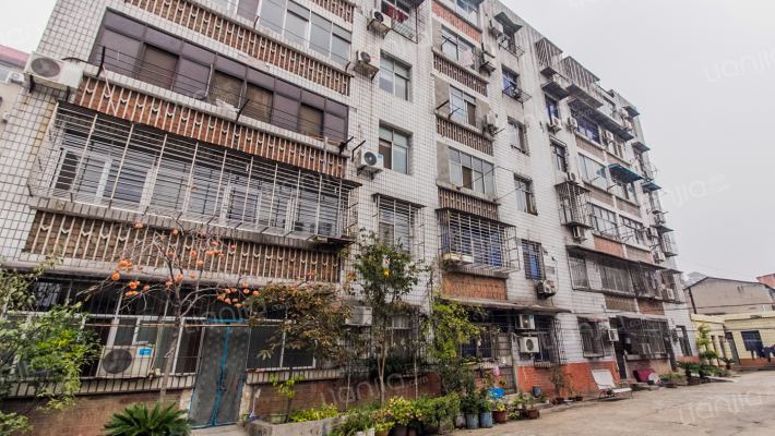 闸口一路刑警队家属院外景图