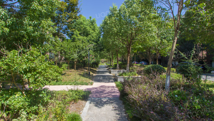 赞成红树林外景图