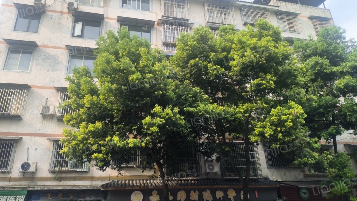 莲花公寓外景图