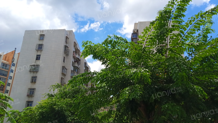 海垦路99号外景图