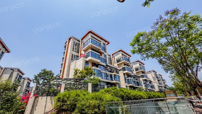 花样年霍克尼的好时光外景图