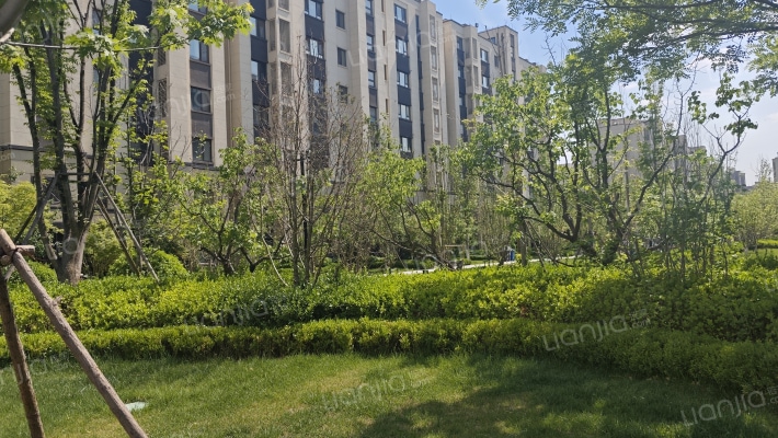 金地悦城大境外景图