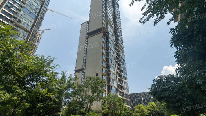 绿地中央公园璟悦外景图