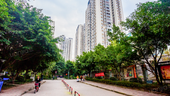 国盛龙腾丰文A区外景图