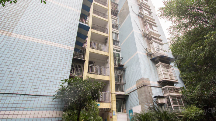 典雅森林花园外景图