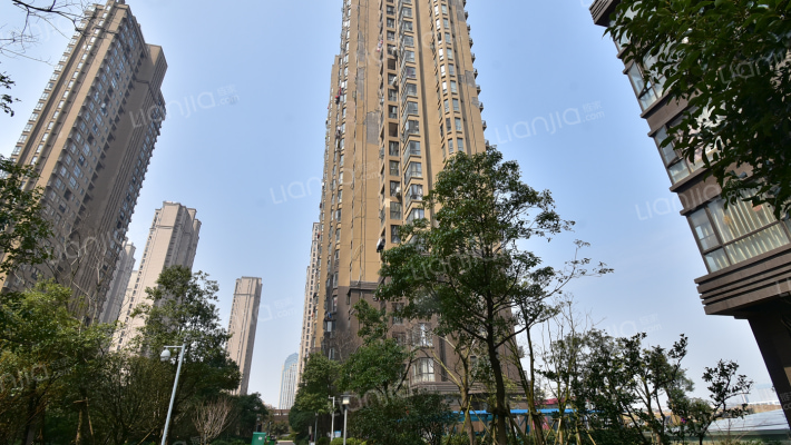 联发君悦湖外景图