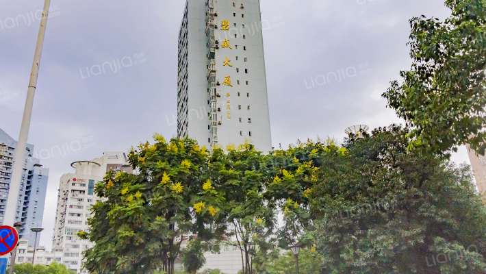 碧盛大厦外景图