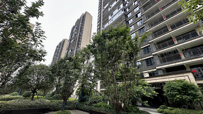 中冶公园1957外景图