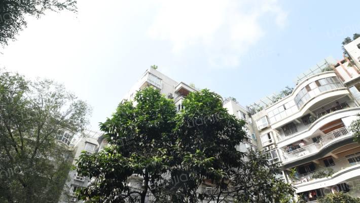 金都雅园外景图