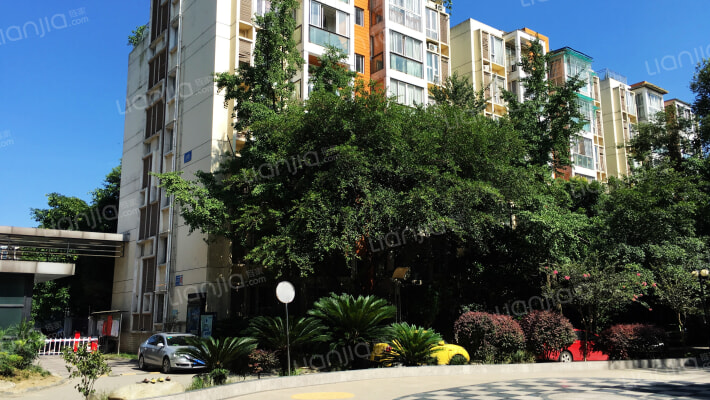 明珠怡园外景图