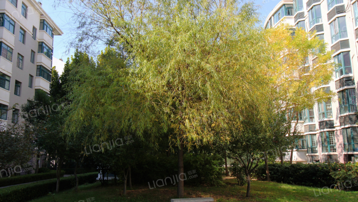 盛世豪廷二期·汇景苑外景图