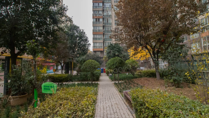 城南鑫苑外景图