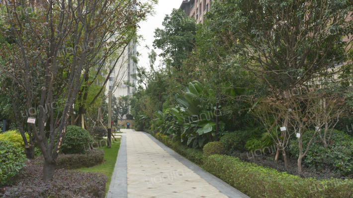 公园大道上东汇南区二组团外景图