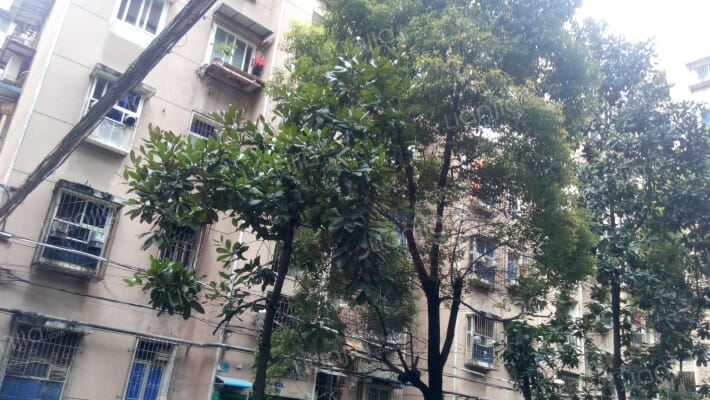 金星花苑外景图