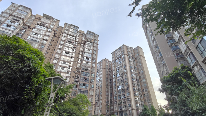 东林春天外景图