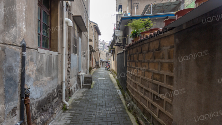 青春路西六弄外景图