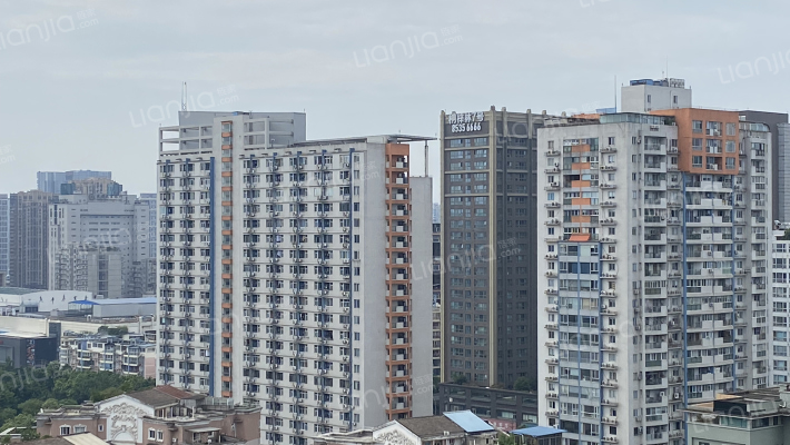 桐梓林7号外景图