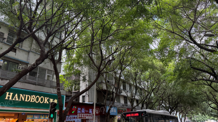 太白路50号外景图