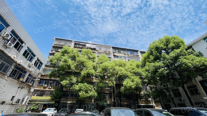 皮革集团职工宿舍外景图