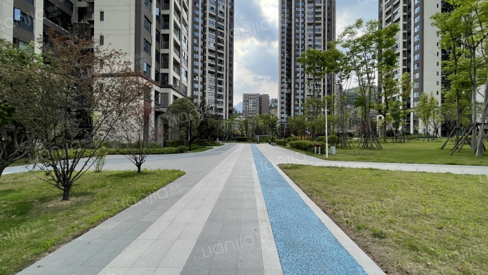 金科·集美嘉悦外景图