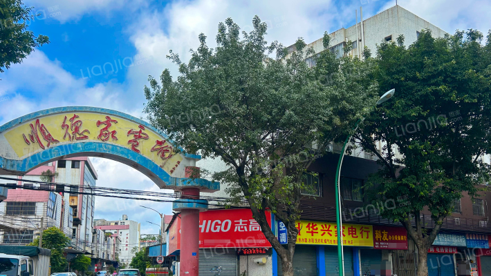 顺德家电城外景图