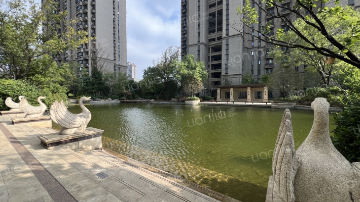 恒大城牡丹园外景图