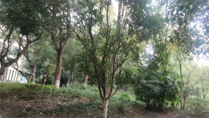 泽科港城国际一期外景图