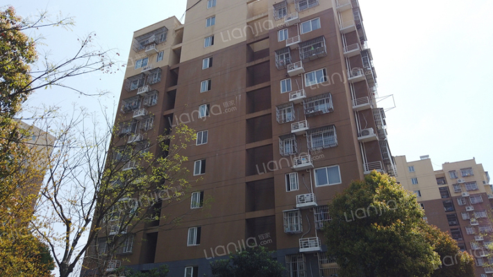 晓村和苑西外景图