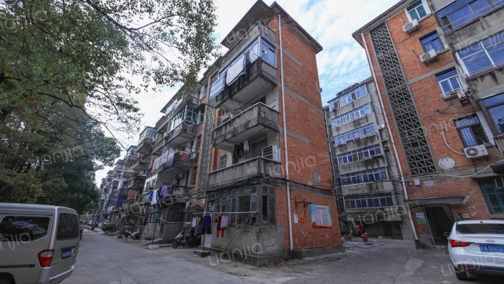 澄湖东路335号外景图