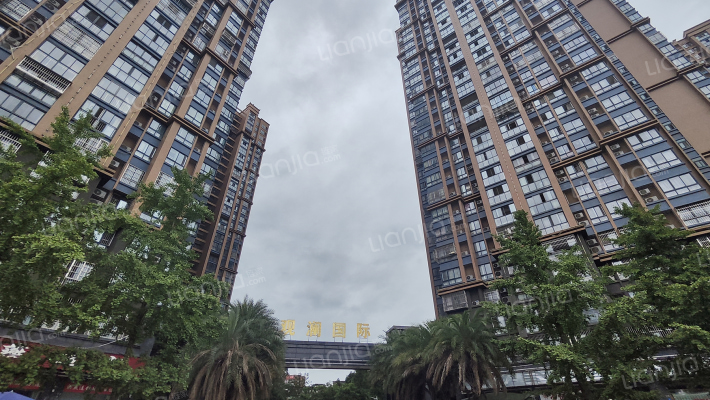 观澜国际外景图