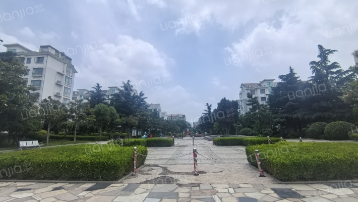 鑫江水青木华外景图