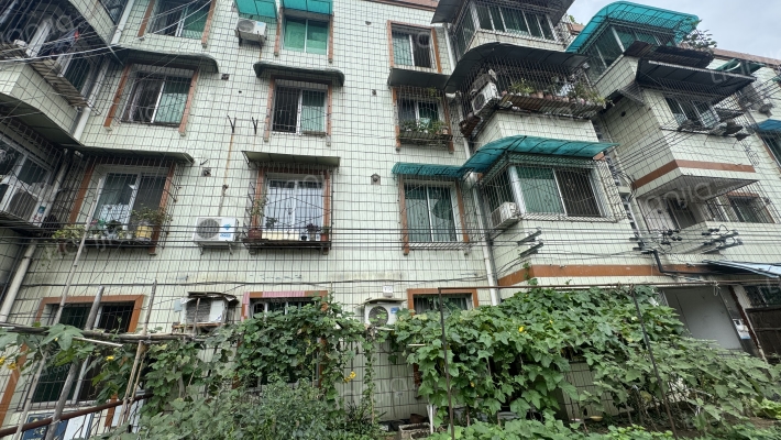 惠丰后街36号外景图