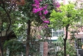 香槟花园14