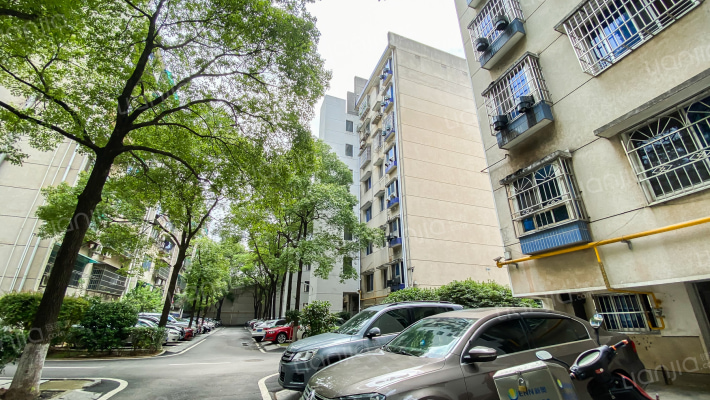 欢度佳节外景图