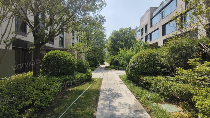 鸿园玉兰苑二期外景图