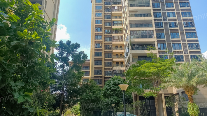 梦之岛江湾一品外景图