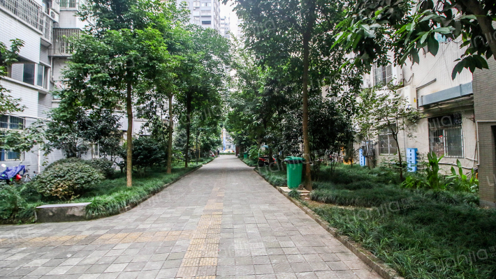 牛奶场集资楼外景图