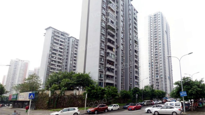 金色年华外景图