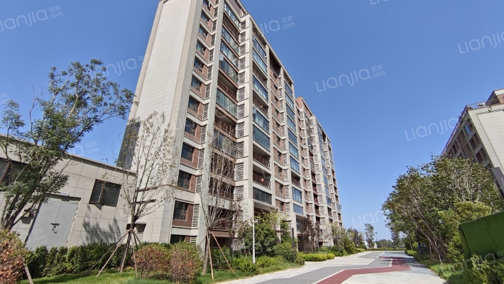 花样年·好时光外景图