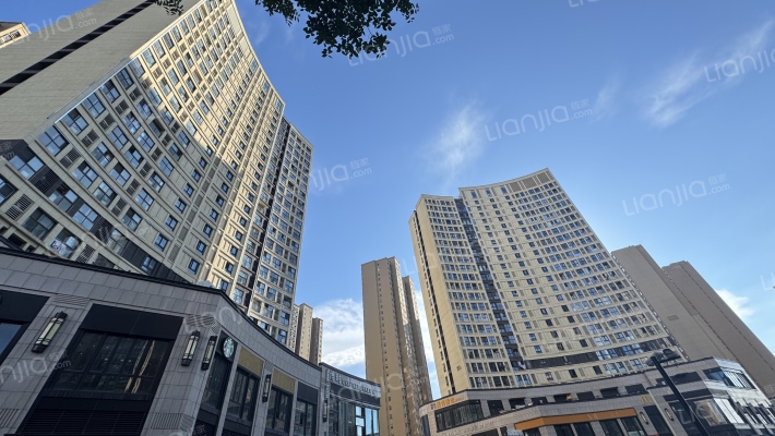 万科V+米寓外景图