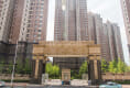 大连明珠7