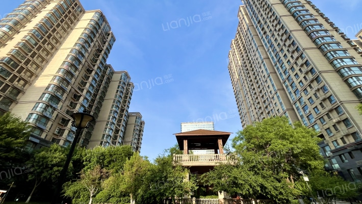 龙泉壹号外景图